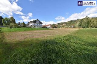 Grundstück zu kaufen in 8524 Bad Gams, Ihr Traum vom Eigenheim: Baugrundstück in Bad Gams mit sonniger Südausrichtung und allen Anschlüssen an der Grundstücksgrenze in ruhiger Wohnlage - gleich anfragen!