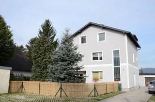Wohnung mieten in 2512 Tribuswinkel, Dachgeschoßwohnung mit 200 m2 Garten