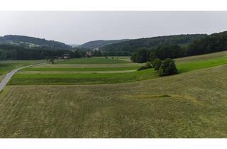 Grundstück zu kaufen in 3143 Pyhra, Baugrundstücke I 500m² bis 800m² I ohne Bauzwang I sofort verfügbar