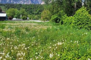 Grundstück zu kaufen in 9601 Arnoldstein, Großzügiges Traumgrundstück in mitten wunderschönem Alpen-Panorama