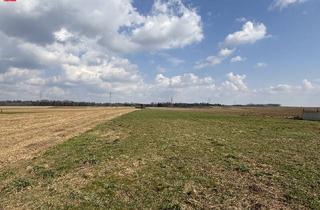 Grundstück zu kaufen in 8424 Gabersdorf, Stilvolles Bauland mit attraktivem Weitblick