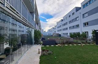 Wohnung mieten in Veilchengasse 5/ Stg.1+2,5+6, 2540 Bad Vöslau, BAD VÖSLAU II/2, geförderte Mietwohnung mit Kaufoption, Stiege 6, Top 1, 1000/00008502/00001601