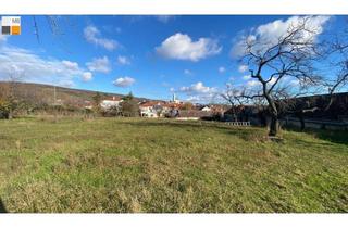 Grundstück zu kaufen in Kleinhöfleiner Hauptstraße, 7000 Eisenstadt, ++ 4044 m² Baugrund in kompletter Südlage: Bauträger gesucht! I MB IMMOBILIEN ++