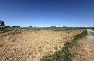 Grundstück zu kaufen in 3713 Reinprechtspölla, Großes 4500M² Betriebsgrundstück in Reinprechtspölla