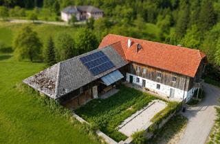 Büro zu mieten in Plesching, 4221 Steyregg, Fast 300M² in Einzigartiger Grünruhelage Wohnen & Arbeiten