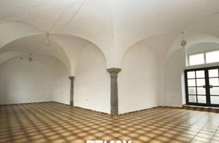 Lager mieten in 4470 Enns, Halle/Lager
