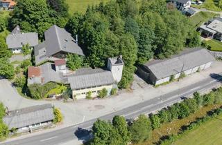 Lager kaufen in Großalmstraße, 4814 Neukirchen, Großzügiges Betriebsbaugebiet mit Produktions- und Lagerflächen