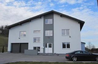 Büro zu mieten in Autobahnanschluss A 25, 4616 Weißkirchen, Büro Lager/Ausstellungsflächen