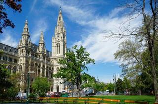 Wohnung mieten in 1010 Wien, Gestalten Sie Ihre Traumwohnung im Herzen Wiens - traumhafte 7-Zimmer-Altbauwohnung - Nähe Rathaus - zu mieten in 1010 Wien