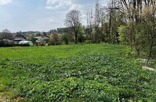 Grundstück zu kaufen in 7537 Neuberg im Burgenland, Grundstück in Neuberg mit Großem Potenzial