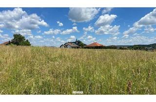 Grundstück zu kaufen in 7540 Güssing, Sonniger Baugrund mit Burgblick