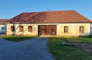 Haus kaufen in 7552 Stinatz, Traditioneller Vierkanthof im Dornröschenschlaf