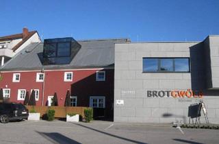 Gewerbeimmobilie mieten in 4470 Enns, LOFT mit Galerie und vielen Nutzungsmöglichkeiten!