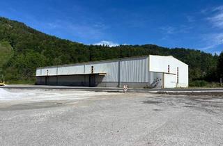 Gewerbeimmobilie kaufen in 8130 Frohnleiten, Lagerhalle mit ca. 2.670m² auf einer Gewerbefläche von ca. 14.270m² in Frohnleiten