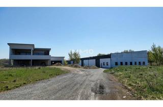 Büro zu mieten in 2474 Gattendorf, Attraktiver Firmenstandort: Büro/Haus und 1,516 m2 Halle/Lager zu mieten