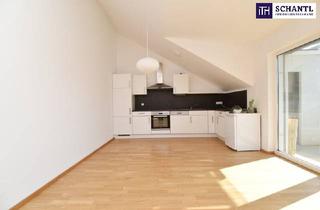Wohnung mieten in Lilienthalgasse, 8020 Graz, Charmante Dachgeschosswohnung mit viel Licht und luftiger Raumhöhe! Innenhof-Süd-Ausrichtung! Top Anbindung! Ab sofort verfügbar!
