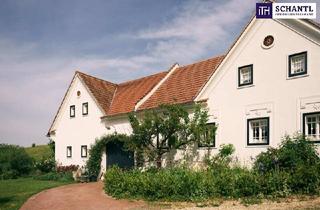 Haus kaufen in Oberbergstraße, 8282 Loipersdorf bei Fürstenfeld, ETWAS GANZ BESONDERES – Vierkanthof mit eigenem Naturerlebnis vor der Haustür! Bad Loipersdorf: Wo Geschichte auf luxuriöses Landleben trifft.