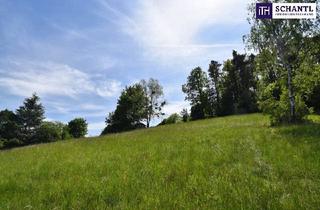 Grundstück zu kaufen in Rannachstraße, 8046 Graz, Exklusiver Baugrund in Bestlage von Graz-St. Veit – traumhafte Ruhelage, idyllisches Grünumfeld und beeindruckende Aussicht!