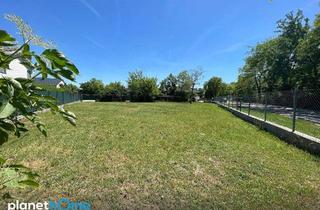 Grundstück zu kaufen in 7122 Gols, Exklusive Gelegenheit in Gols: ca. 901 m² Bauland in begehrter Wohnlage