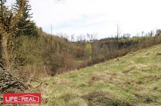 Grundstück zu kaufen in 4232 Hagenberg im Mühlkreis, sonniges Grünland eingebetet neben Bach und Wald, kein Bauland