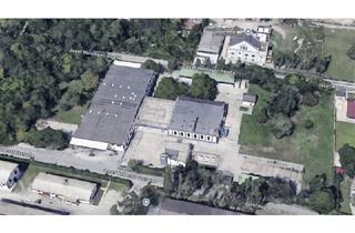Grundstück zu kaufen in 2602 Blumau-Neurißhof, BAULAND WOHNEN FÜR PROJEKTENTWICKLER - 16.000 m²