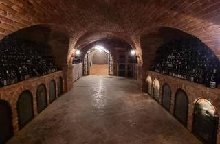 Lager kaufen in 3100 Sankt Pölten, Wo Wein auf Atmosphäre Trifft: Großzügiger Weinkeller in St. Pölten