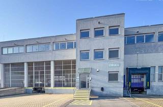 Lager mieten in 1300 Mannswörth, Lager- und Büroflächen Direkt am Flughafen Wien