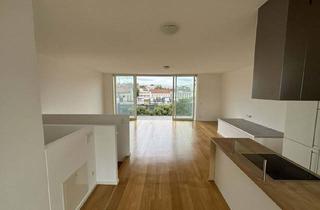 Maisonette mieten in 1040 Wien, Wien - 4.Bezirk: Über den Dächern: ihr Neues Penthaus-Highlight mit 360°-Panoramablick! 2 Parkplätzen! Jetzt Mieten!