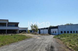 Lager mieten in 2474 Gattendorf, Attraktiver Firmenstandort: Büro/Haus und 1,516 m2 Halle/Lager zu Mieten