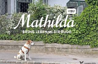 Haus kaufen in Gebirgsgasse, 1230 Wien, Mathilda das charmante Chaos aus der Gebirgsgasse und ich erzähle euch meine Geschichte