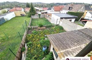 Bauernhäuser zu kaufen in 7021 Draßburg, Draßburg nahe Eisenstadt – Mehr- Familien Bauernanwesen mit 2 riesigen Nebengebäuden und Grund reduzierte Kaufpreis: € 249.000.- VB