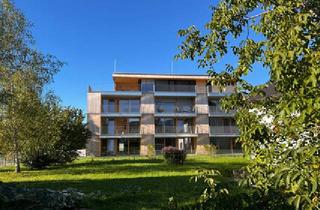 Wohnung mieten in 6890 Lustenau, Moderne 3-Zimmer-Wohnung mit Südbalkon in Lustenau