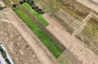 Grundstück zu kaufen in Kirchtalstraße, 7000 Eisenstadt, Neue Baugrundstücke in Bestlage von Eisenstadt