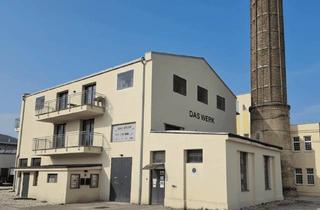 Lager mieten in Badener Straße 11a/6, 2514 Traiskirchen, Unbefristete Miete mit Kaufoption - Generalsaniertes Industrie-Loft - Produktion + Büro + Wohnen