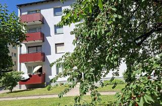Wohnung kaufen in 3500 Krems an der Donau, Sanierungsbedürftige Wohnung mit Balkon in schöner Lage in Krems-Mitterau