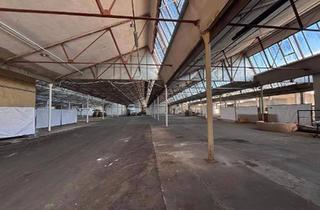 Gewerbeimmobilie mieten in Fabrikstraße 1-3, 3381 Golling, 45.000 m² Hallenfläche | Teilflächen ab 50 m² | Ab € 4,60/m² netto