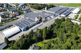 Gewerbeimmobilie mieten in Fabrikstraße 1-3, 3381 Golling, Lagerhalle 45.000 m² ab € 4,60/m² netto