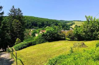 Grundstück zu kaufen in Linzerstraße 64, 3002 Purkersdorf, Grundstück mit Grünblick in Purkersdorf zu kaufen