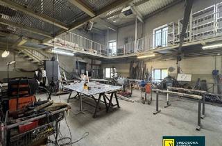 Immobilie kaufen in 2514 Traiskirchen, Attraktive Gewerbeimmobilie in Top-Lage – Traiskirchen