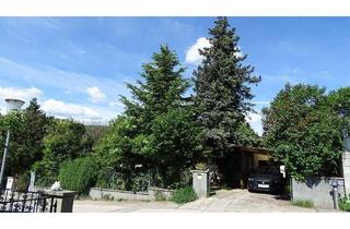 Haus kaufen in 2534 Alland, "VERSTECKTER" BUNGALOW im Herzen von Alland!