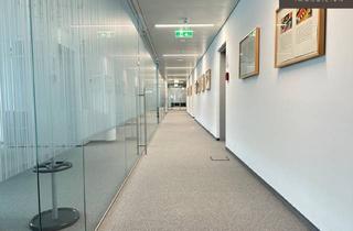 Büro zu mieten in Rautekstraße, 3100 Sankt Pölten, | Großzügige Büroflächen im Süden von St. Pölten | Direkt an der Autobahn a1 | Lagerhalle | Flugdach | Freifläche | Stellplätze