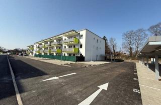 Wohnung kaufen in 2442 Unterwaltersdorf, Neubauprojekt Hasengarten - 2 Zimmerwohnung mit bis zu 80.000,00 Wohnbauförderung!