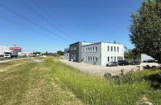 Büro zu mieten in 4481 Asten, Büro zur Miete mit Option auf Lagerfläche Indoor sowie Outdoor