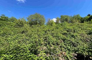 Grundstück zu kaufen in Steinbrunngasse, 3400 Klosterneuburg, Baubewilligte Liegenschaft in absoluter Grün Ruhelage in Kierling