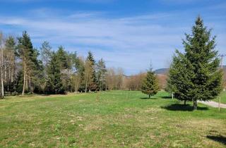 Grundstück zu kaufen in 9184 Sankt Jakob im Rosental, Sonniges Grundstück mit Umwidmungspotenzial im Rosental