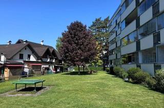 Wohnung kaufen in Landstrasse 82a, 6971 Hard, Renovierte 1.5-Zimmer-Wohnung in Hard mit Balkon