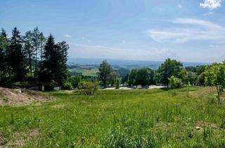 Grundstück zu kaufen in 4201 Eidenberg, Eidenberg: Großes, Bestgelegenes Grundstück in Aussichtslage