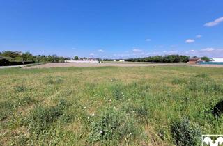 Grundstück zu kaufen in 4470 Enns, Grundstück 10.328 m² - Interessant Für Bauträger