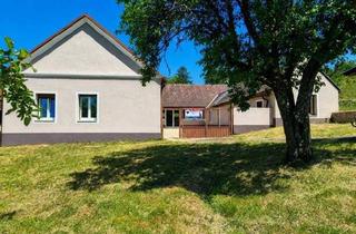Haus kaufen in 7532 Litzelsdorf, Haus mit 2 getrennten Wohneinheiten und Kellerstöckl mit Wiesen und Äcker