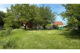 Bauernhäuser zu kaufen in 7444 Mannersdorf an der Rabnitz, TEILSANIERT MIT GROSSEM SONNIGEN GARTEN U. STADL - 2 ZUFAHRTEN